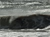 moresurf_elemir.jpg