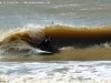 moresurf_elemir_13.jpg